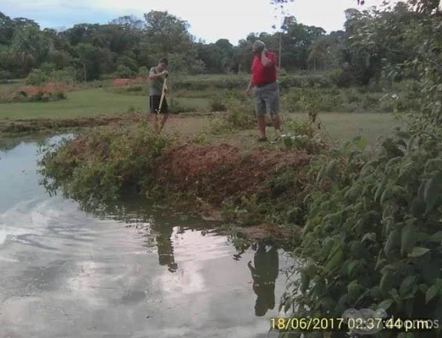 Terreno 9 Has  eje de carretera  S/. 350,000 - 1