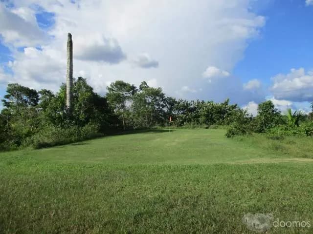 Terreno 9 Has  eje de carretera  S/. 350,000 - 2