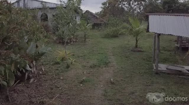 Venta de  propiedad de 8 Has Título , panales de abejas  $ 200,000 - 2