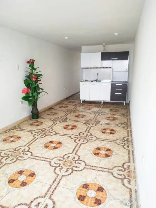 Venta de departamento 2 habitaciones 1 baño 50m2- SMP-San German - 1