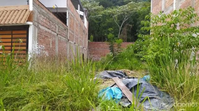 Terreno en Venta en Pampa del Carmen La Merced Chanchamayo - 1