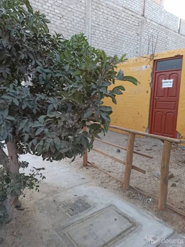 VENTA DE CASA COMO TERRENO EN NUEVO CHIMBOTE cel 981222519 - 2