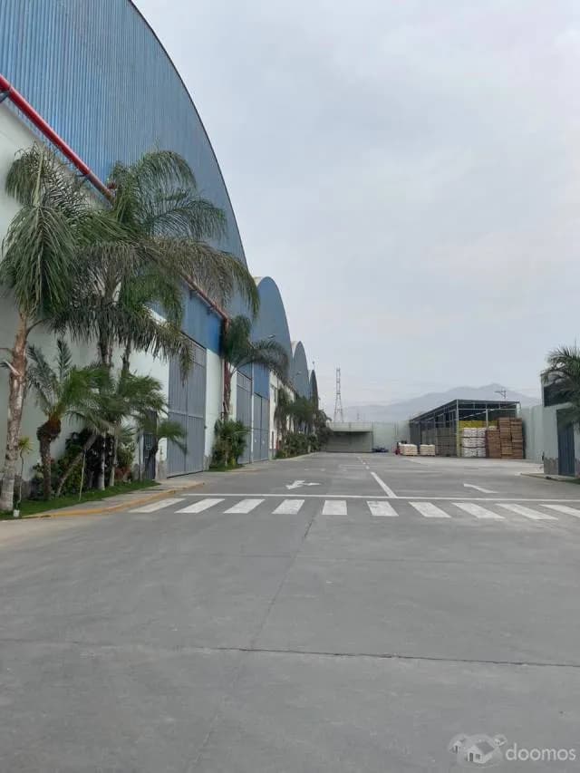 2,000m2-ALQUILER DE BODEGAS INDUSTRIALES EN LURIN-CON 12ML ALT-EN COMPLEJO INDUSTRIAL-TODO LOSA Y CON OFICINAS - 2