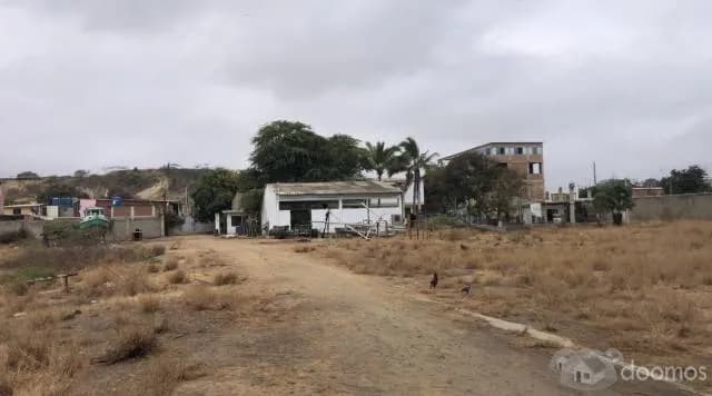 Alquilo - Vendo Local Industrial 8,177m2 en La Cruz, Tumbes - 2