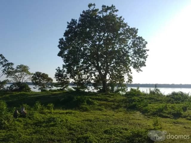 Venta de terreno 388 Has - 1