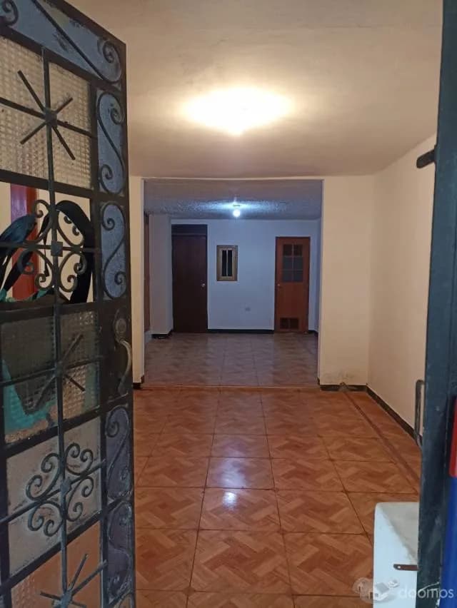 Alquiler departamento en San Juan de Lurigancho / Caja de Agua - 1