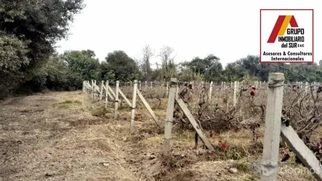 Sigue este enlace para ver nuestro catálogo en WhatsApp - 2