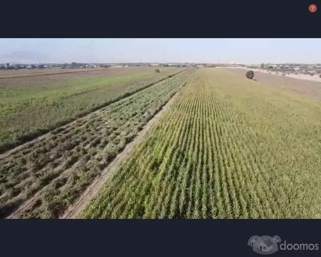 SE VENDE TERRENO AGRICOLA DE 5.02 HECTAREAS San José, EL CARMEN - CHINCHA - 2