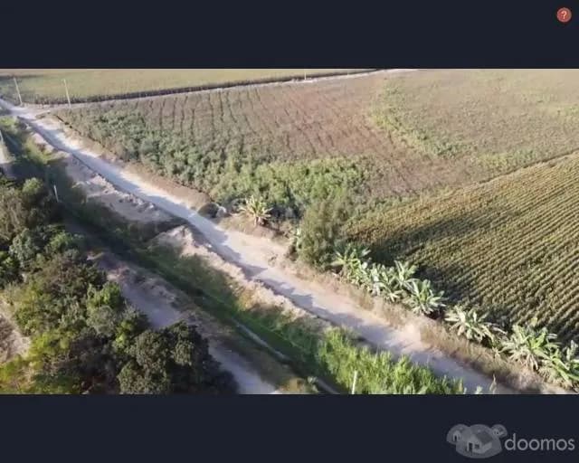 SE VENDE TERRENO AGRICOLA DE 4.75 HECTAREAS EL CARMEN - CHINCHA - 2