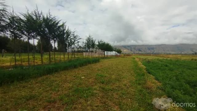 Casa de Campo semi construido San Lorenzo – Jauja - 1