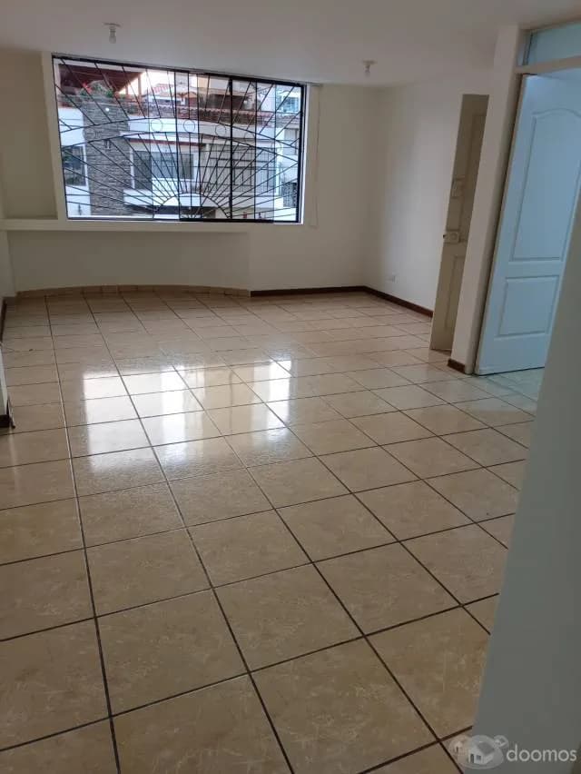 Alquilo Amplio Departamento - 1