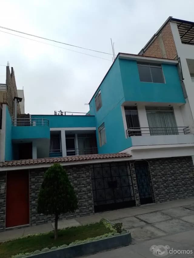 Se alquila Departamento en la mejor zona de Los Olivos - 1