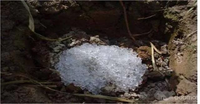 SE vende lotes DE  3 hectarias C/U TERCERA ETAPA - 2