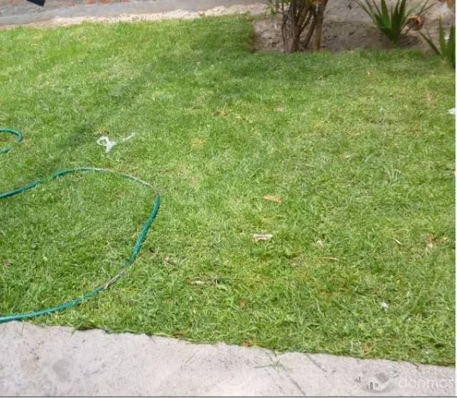 ALQUILO CASA EN MOLLENDO - 1