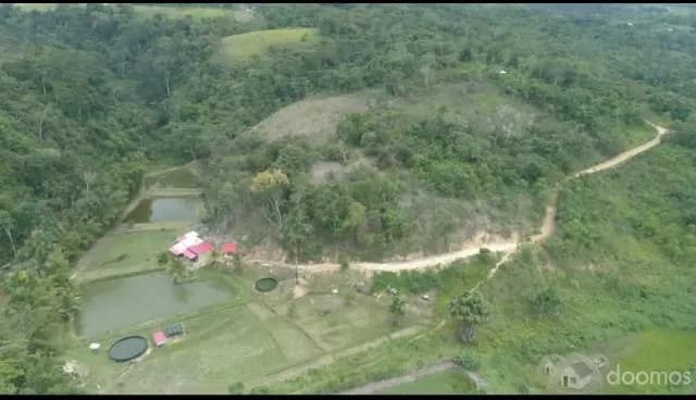 TERRENO EN VENTA IDEAL PARA PROYECTO HOTELERO,ECO ALBERGUE, CASA DE CAMPO, ETC - 1