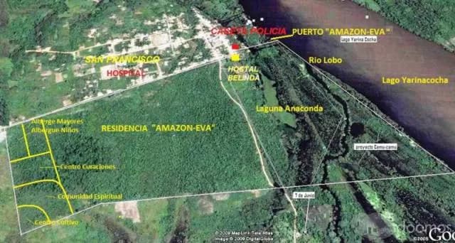 Amazon Eva -Proyecto Selva - 2