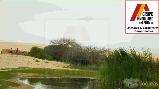 Se vende Fundo de 200 has a $16,000 x ha. en Pisco - 2