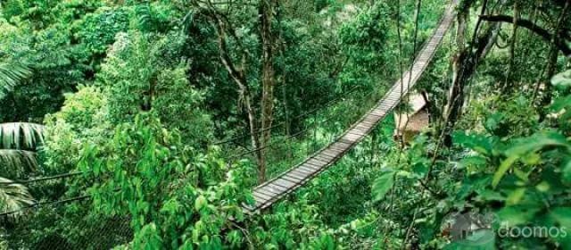 TERRENO EN VENTA IDEAL PARA PROYECTO TURISTICO - 2