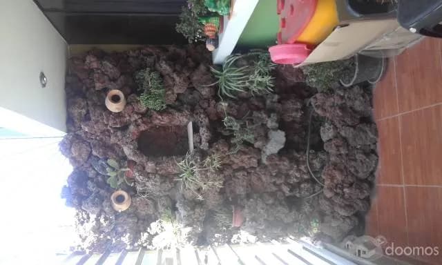 REMATO DEPARTAMENTO POR MOTIVO DE VIAJE - 1