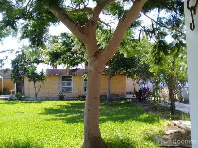 Ocasión Casa de Campo Chiclayo - Monsefu - 2