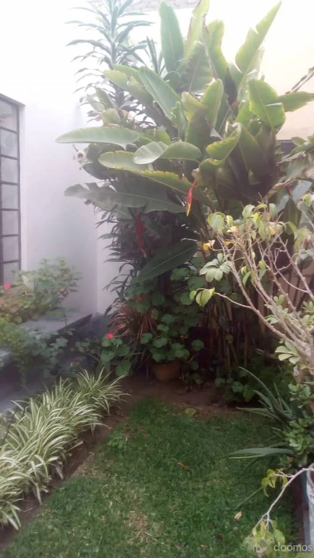 Linda casita en Miraflores - 1