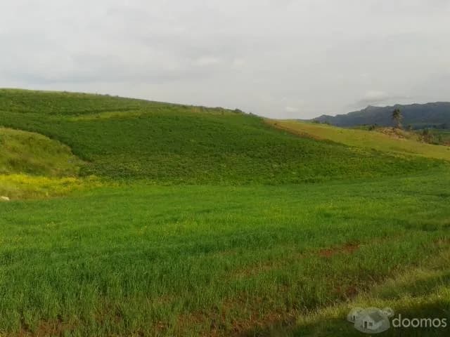 HERMOSO TERRENO EN VENTA EN CHINCHERO-AEROPUERTO INTERNACIONAL DEL CUSCO - 1