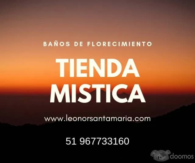 revive el amor perdido en 72 horas - 2