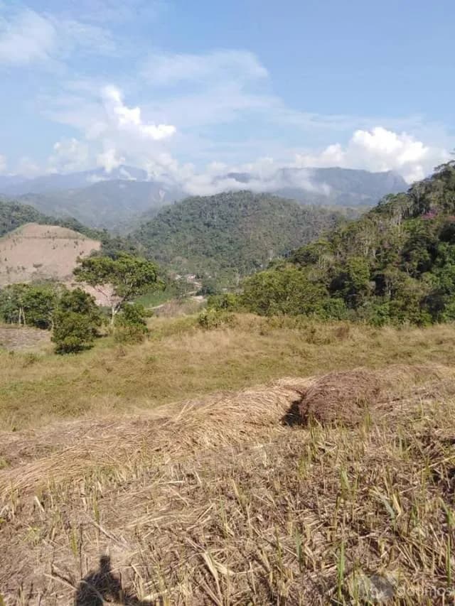 TERRENO PLANO-SEMIPLANO 40 000 METROS MUY CERCA A LA PISTA EN SAN LUIS DE SHUARO - 1