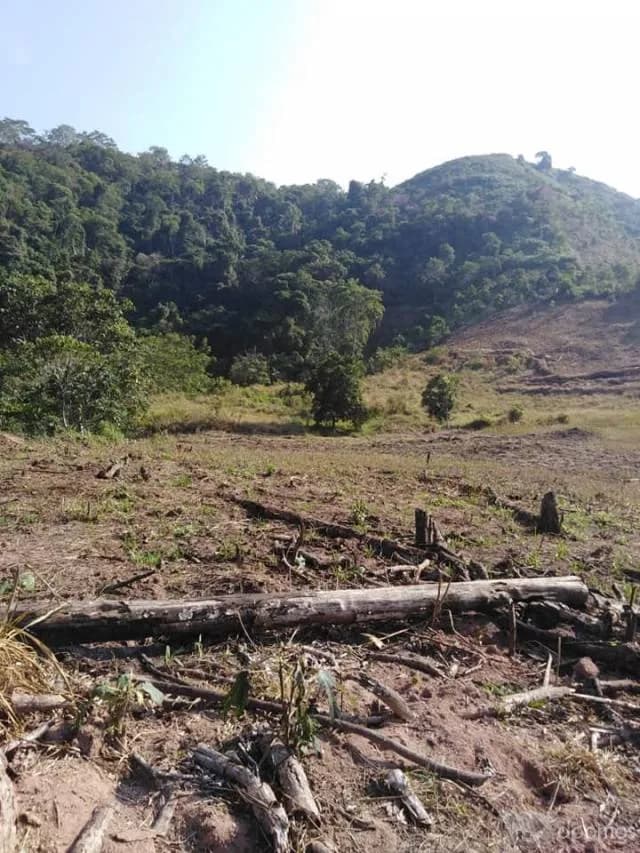 TERRENO PLANO-SEMIPLANO 40 000 METROS MUY CERCA A LA PISTA EN SAN LUIS DE SHUARO - 2