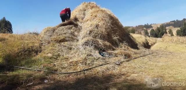 VENDO TERRENO EN HUAYPO DE 4429M2 - 2