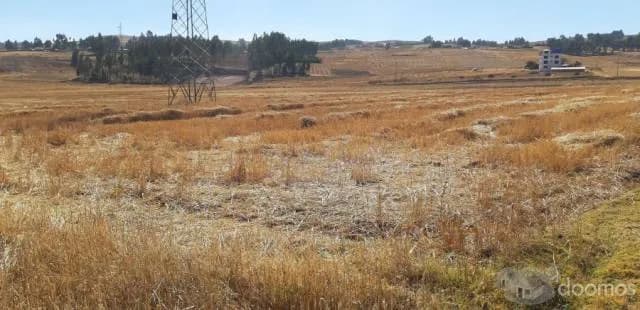 VENDO TERRENO EN HUAYPO DE 800M2 - 2