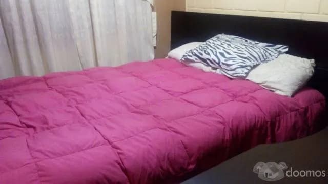 Departamento amoblado - 2