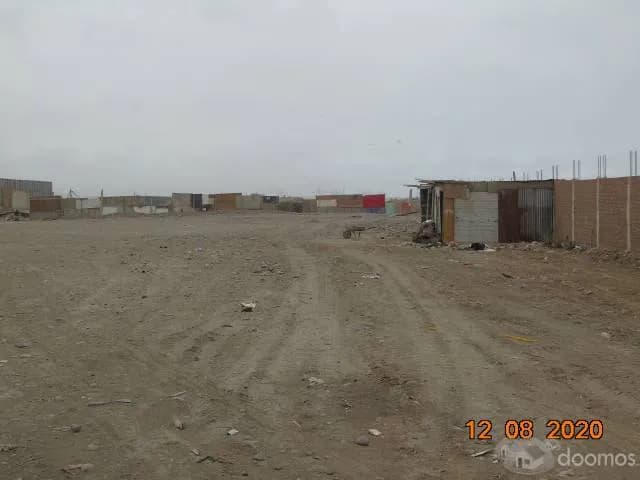 VENDO 4 HECTAREAS DE TERRENO INDUSTRIAL - 2