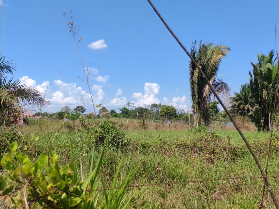 i025051 - Venta Terreno - Yarinacocha - 2