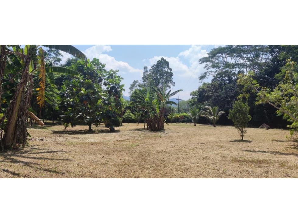 Terreno 6,101 m2 en venta - Tarapoto - San Antonio de Cumbaza - 2