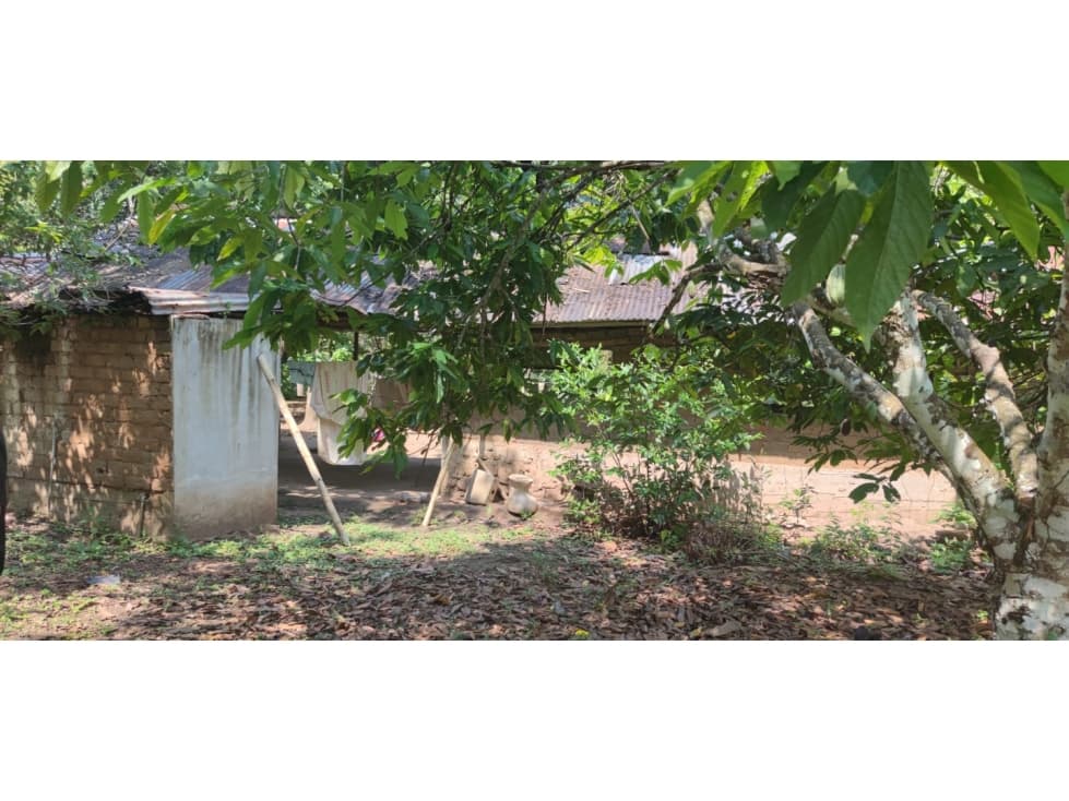 Tarapoto - Terreno circulado con quebrada - 1 ha. - 2