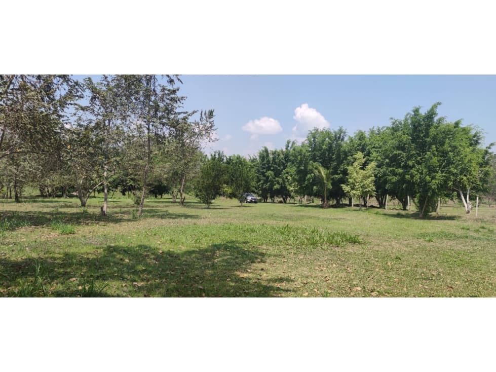 Terreno Tarapoto - 3 de Octubre - 10,000 m2 - US$45 x m2 - 2