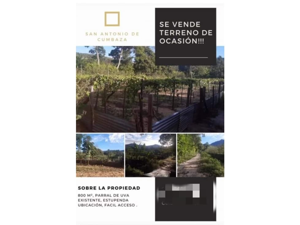 Tarapoto - Terreno en Venta 800 m2 - San Antonio de Cumbaza - 2