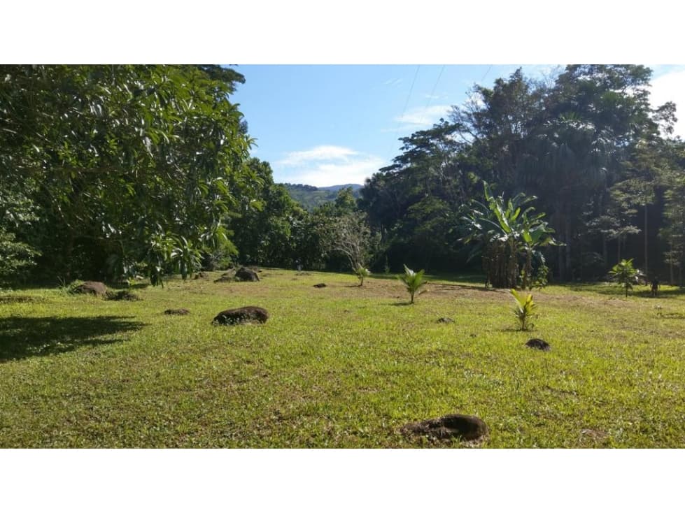 Terreno 6,101 m2 en venta - Tarapoto - San Antonio de Cumbaza - 1