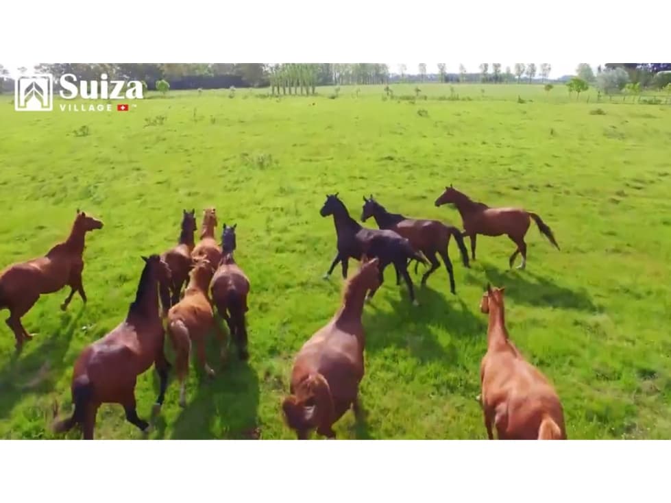 Proyecto Residencial - Lotes desde 500 m2 en venta - Lamas - Zapatero - 2