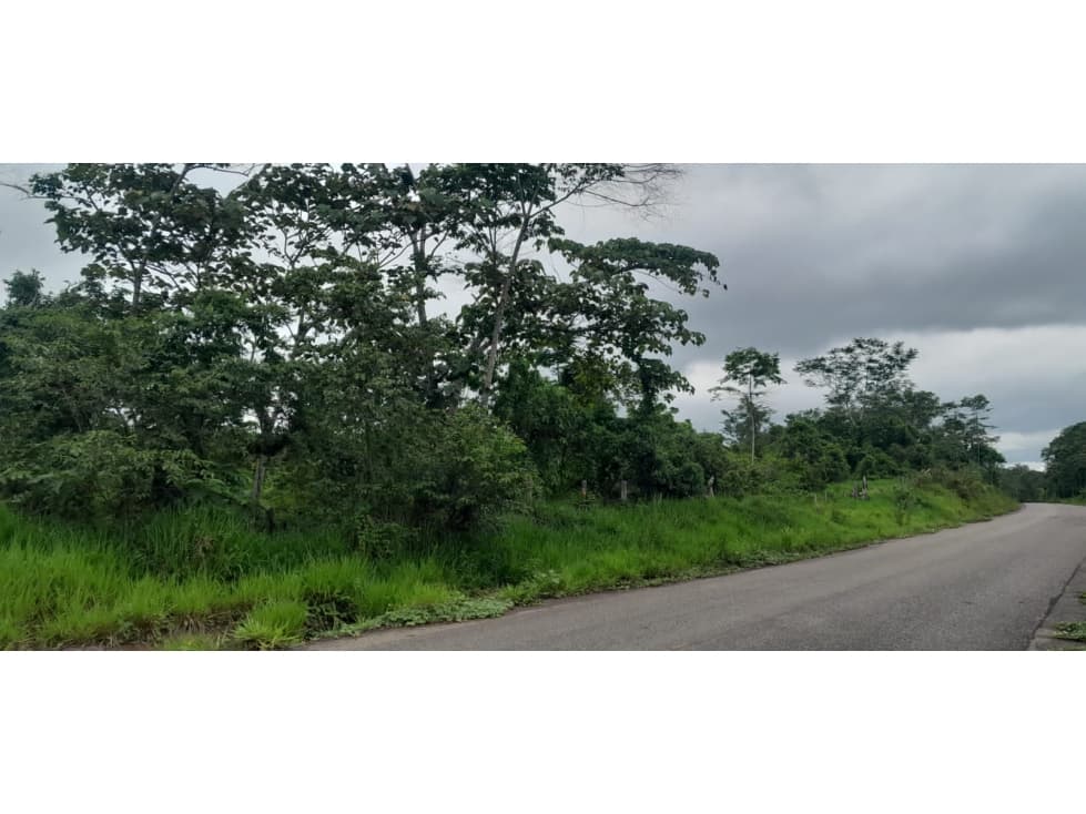 Venta de Terreno en Contamana- 48Has - 2