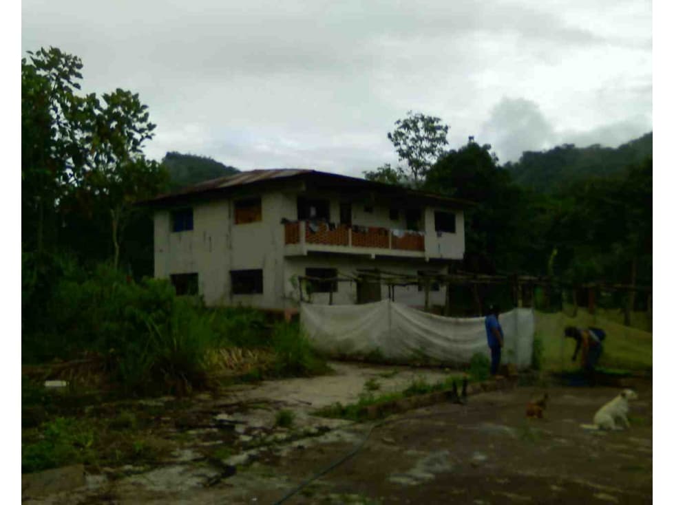 FUNDO AGRÍCOLA PARA SIEMBRA O PROYECTOS DIVERSOS EN CHANCHAMAYO - 1