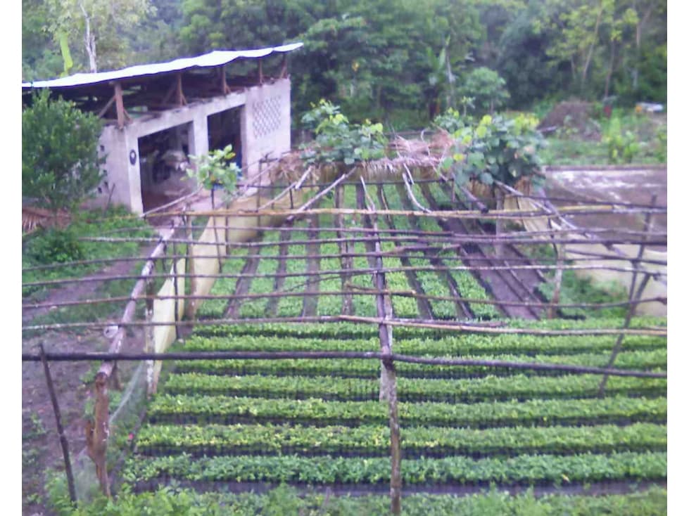 FUNDO AGRÍCOLA PARA SIEMBRA O PROYECTOS DIVERSOS EN CHANCHAMAYO - 2