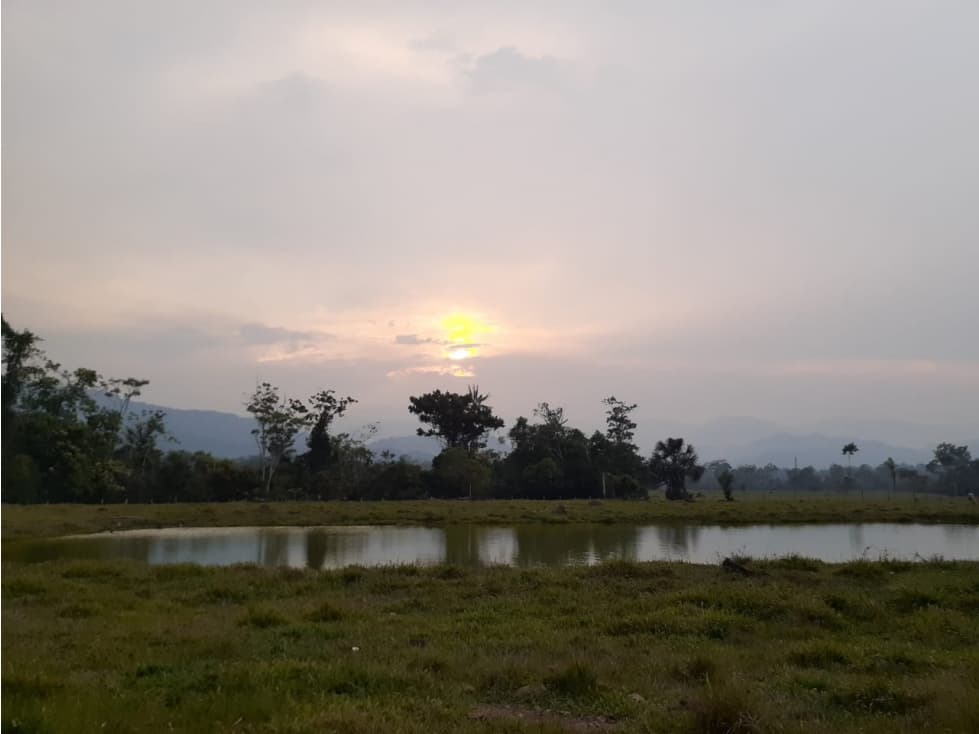 FUNDO PLANO Y FÉRTIL DE 152 HA. EN ISCOZACÍN - PALCAZÚ / OXAPAMPA - 2