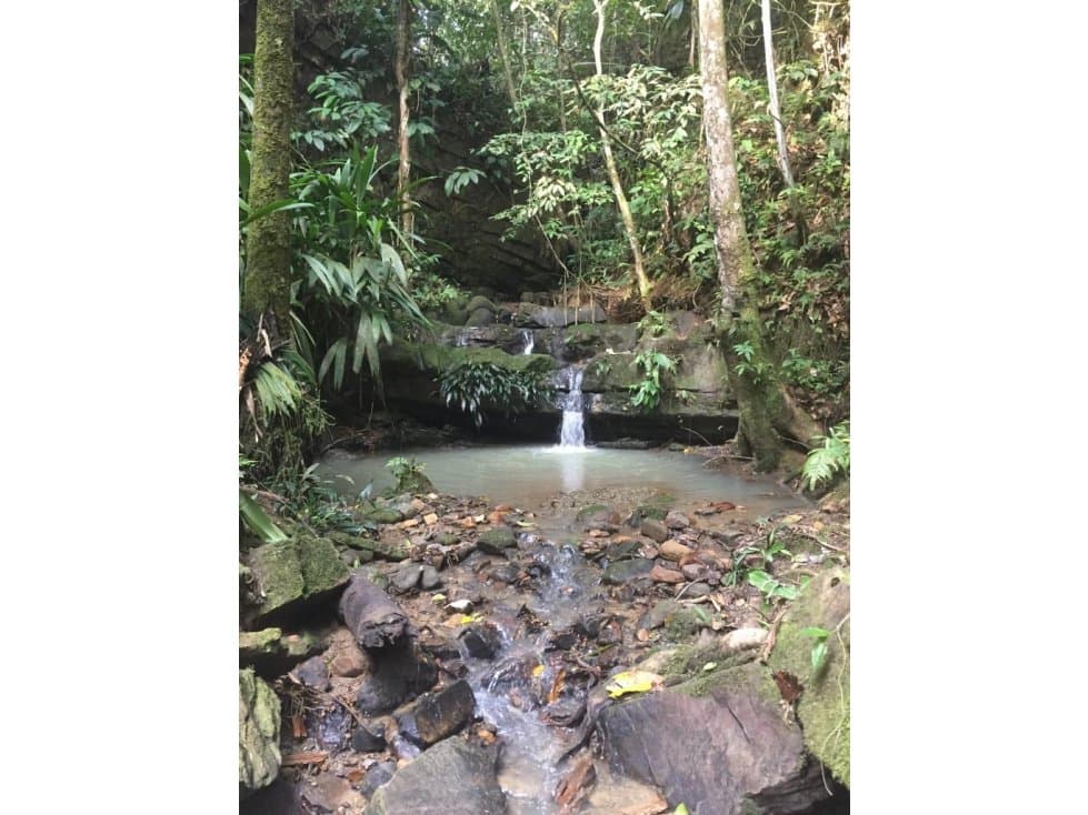 GRAN TERRENO CON CATARATA MISHKIYACU - SAN ROQUE DE CUMBAZA - 2