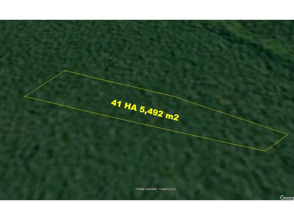 00565 - VENTA TERRENO RURAL CONTAMANA - AT. 41 HA 5,492 M2 - 1