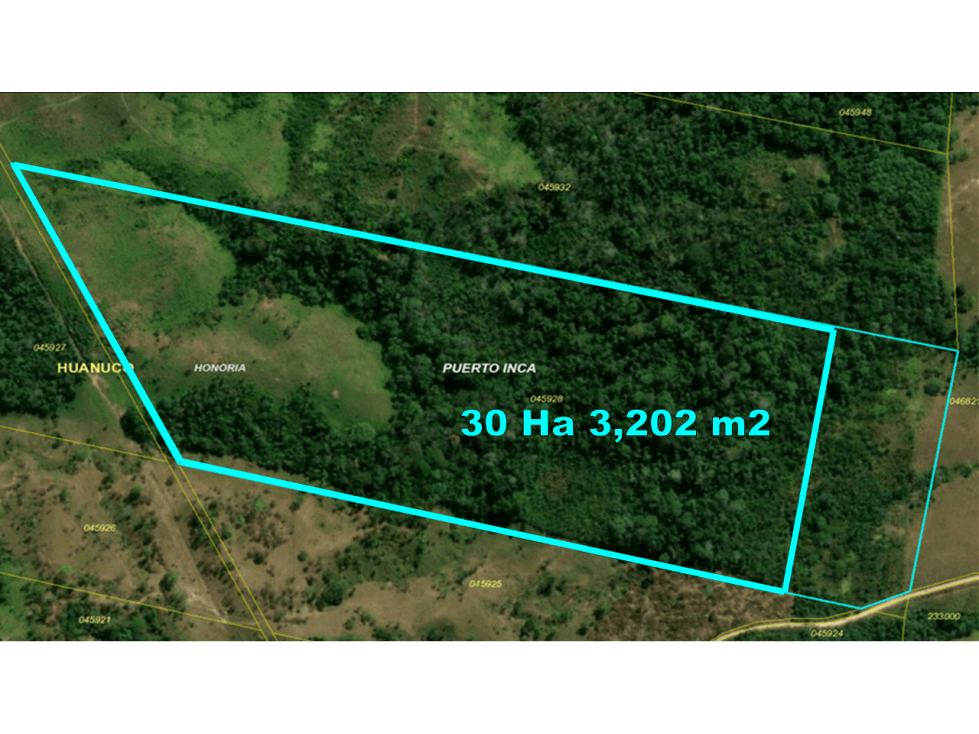 00537 - REMATO TERRENO RURAL EN HONORIA - 54 HA 2, 496 M2 - 2