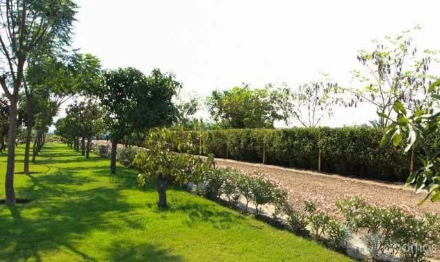 Lotes urbanos desde 900 m2 en el Condominio & Country Club FUNDO HASS, ubicado en el Km 203 - 1