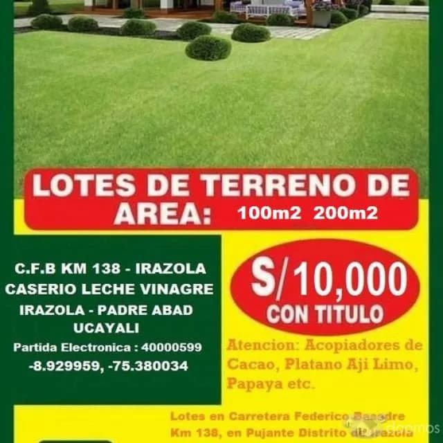 LOTE 300 M2, CARRETERA CENTRAL KM 138 PADRE ABAD - UCAYALI - 1