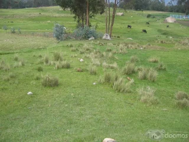 Vendo Terreno de 2,998.52 m2 en Cachipampa - Independencia-Huaraz-Ancash. Precio 160 soles el m2. Excelente Ubicación. A 20 minutos de la ciudad de HUARAZ - 2